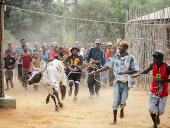 bringing gift to madagascar circumcision celebration in madagascar