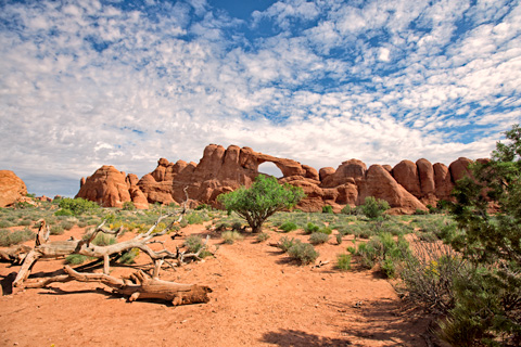 landscape arches national park
