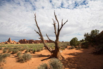 Moab National Park, Moab, Utah