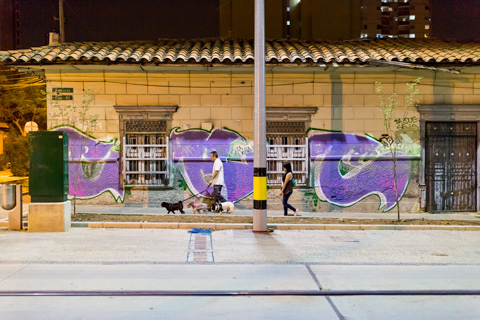 dog walkers medellin columbia